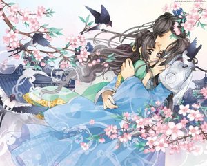 海角 彤彤表妹